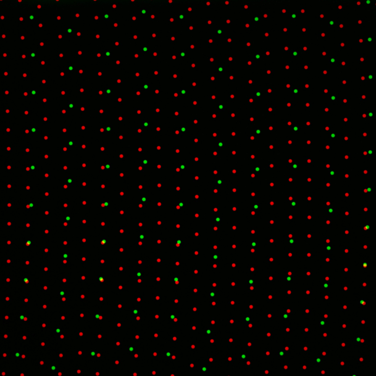 Overlay of Standard and Larger Spacing on 50-micron disk